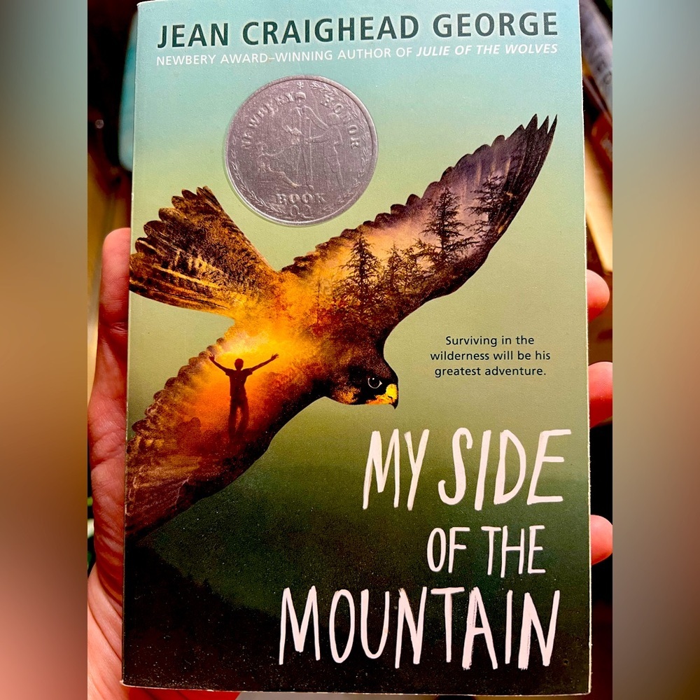 My Side of the Mountain Book